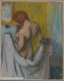 埃德加 · 德加，拿毛巾的女人油画图片