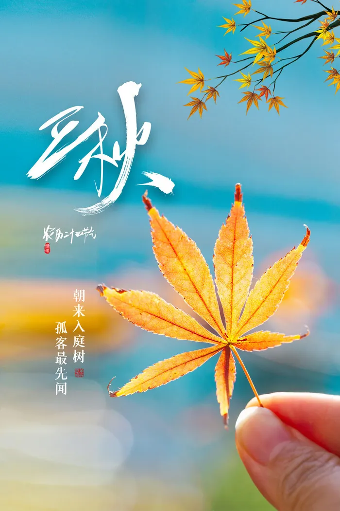 立秋传统节气