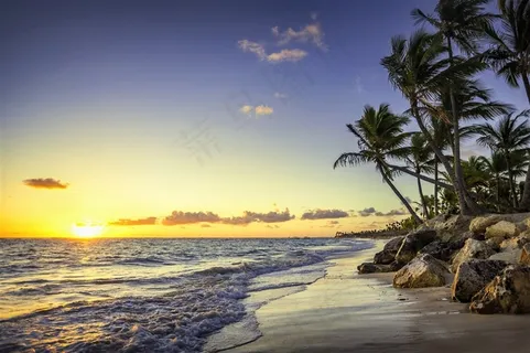 唯美海滩椰树风景画