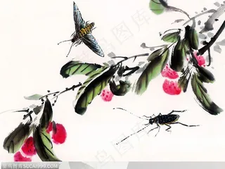 昆虫水墨画-飞蛾荔枝国画
