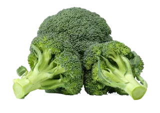 西兰花 (6)超市商品白底图免抠实物摄影png格式图片透明底