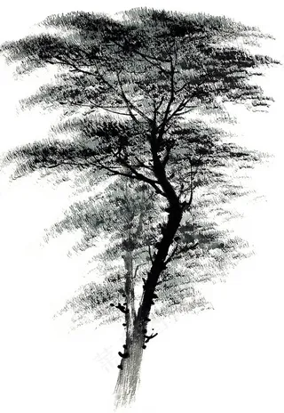 古木工笔美图素材