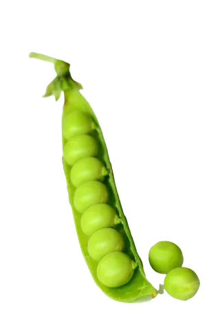荷兰豆 (8)超市商品白底图免抠实物摄影png格式图片透明底