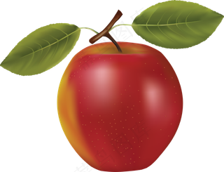 多汁的 苹果 清新 红苹果 水果 免抠