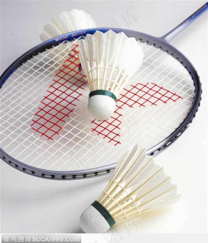 两个球和球拍