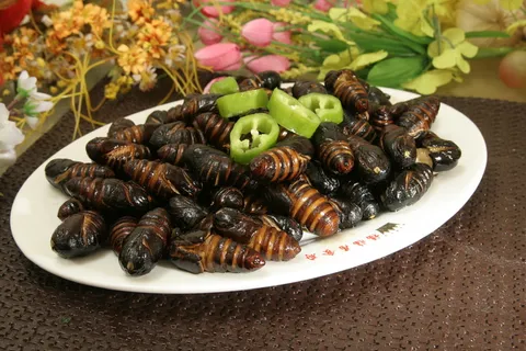 36  炒蚕蛹-福林居