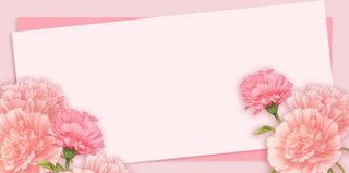 母亲节康乃馨花粉色背景