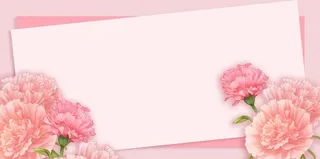 母亲节康乃馨花粉色背景