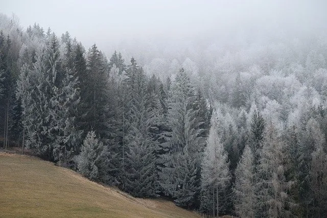 冬天白雪背景风景