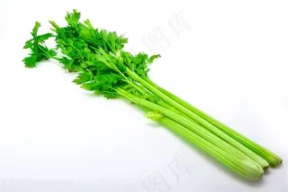 唯美芹菜图片