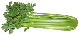 西芹 (10)超市商品白底图免抠实物摄影png格式图片透明底