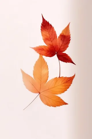 秋叶橙红色意境大气背景