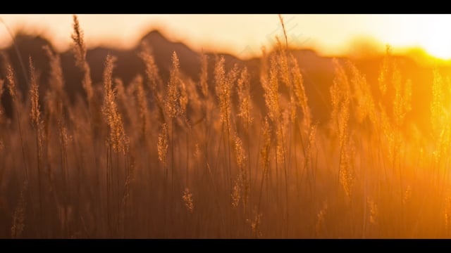 日落, 光, 太阳, 自然, 天空, 橙色的