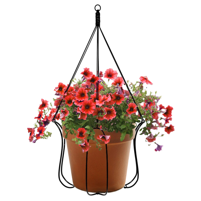 免抠吊篮，红花，花，植物