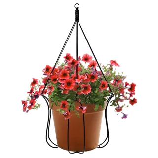 免抠吊篮，红花，花，植物