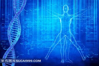 人体平面图与DNA医疗科技背景