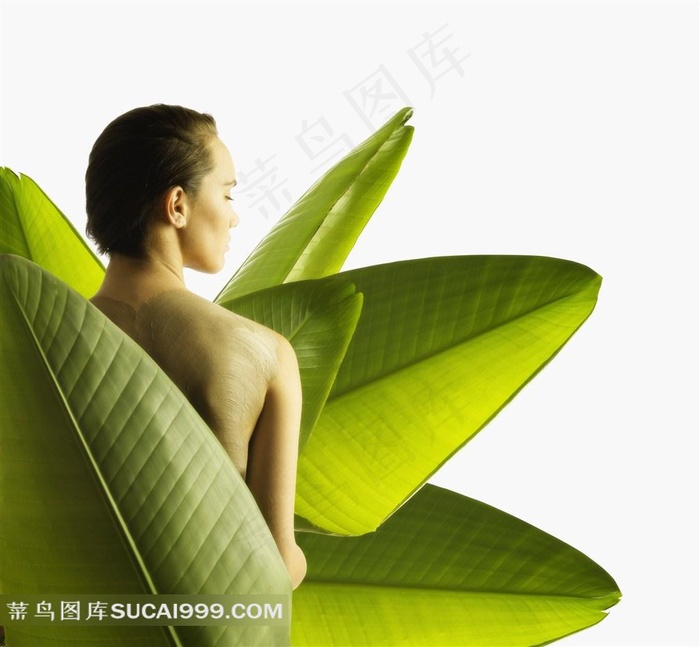 绿色叶子美女养生图片