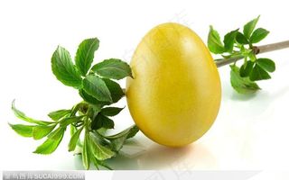 黄色彩蛋和一树枝