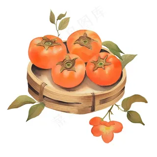 秋日柿子水果水彩画免抠