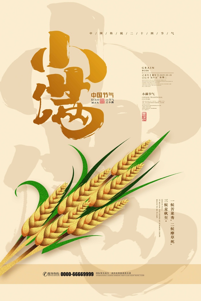 小满 二十四节气psd模版下载