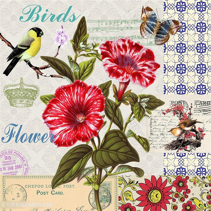 欧式花鸟装饰画