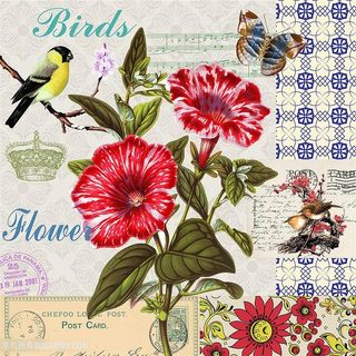 欧式花鸟装饰画