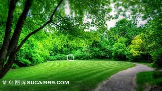 草地和树林风光素材图片