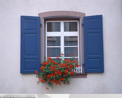 地中海风情----街道建筑的窗户和红色花朵