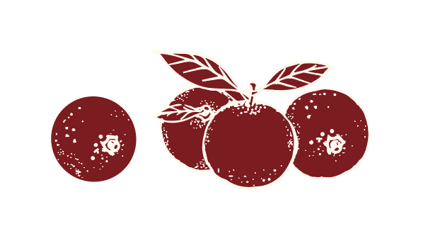 橘子免抠矢量古风中国风