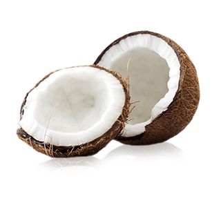 免抠椰子实物摄影图片