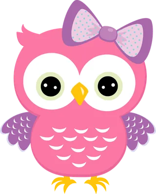 猫头鹰粉色