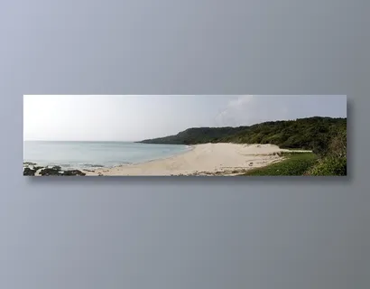 水面上的风景 水面上的风景