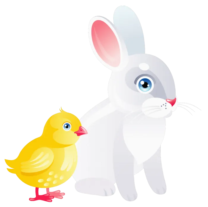 小鸡兔子兔年