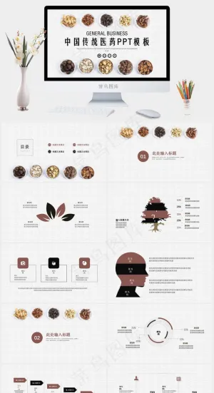 中药中医治病PPT模板ppt模版预览图
