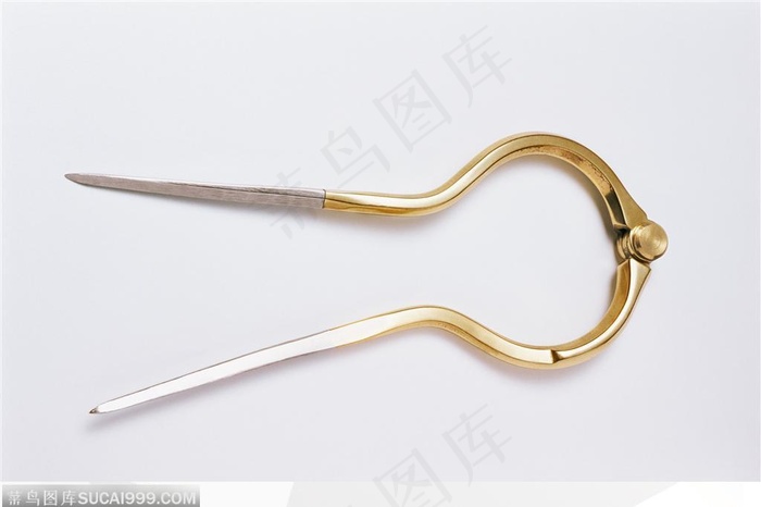 运动装备-金色的叉子