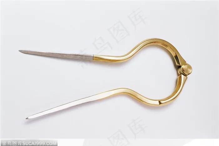 运动装备-金色的叉子