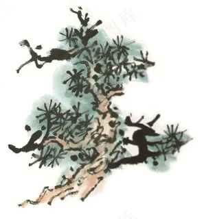 古树设计摄影图片 古树设计摄影图片