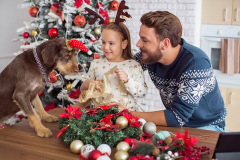圣诞节室内父女与小狗互动场景圣诞送礼物(166)