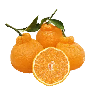 丑橘 (1)水果超市商品白底图免抠实物摄影png格式图片透明底