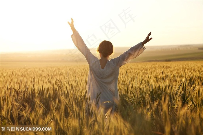 美女在稻田张开双臂高清图片美女图片