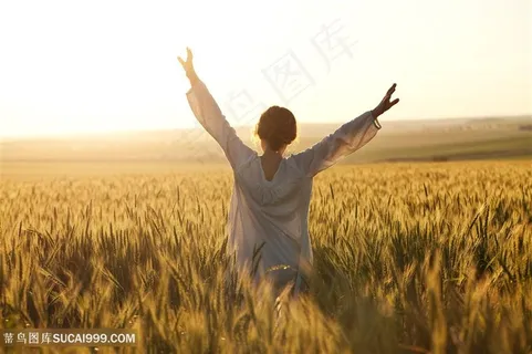 美女在稻田张开双臂高清图片美女图片 美女在稻田张开双臂高清图片美女图片