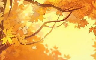 秋季金色枫叶树枝阳光倒影背景