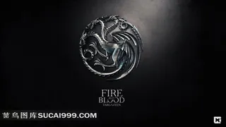 飞龙创意图形图片