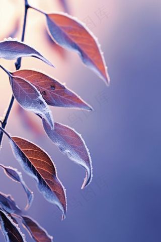 紫色枝叶清新背景