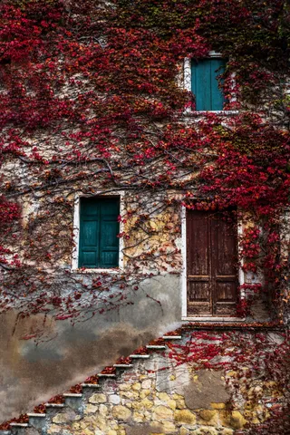 老式特色楼房图片