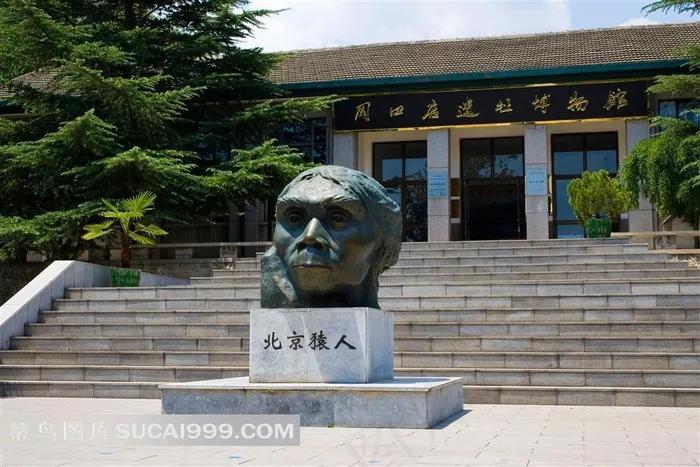 周口店遗址博物馆 摄影图