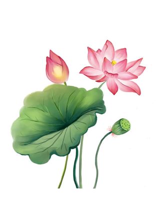 国潮中国风手绘荷花莲花荷叶莲藕植物花卉装饰插画PSD设计素材