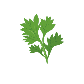 端午节艾叶艾草免扣元素