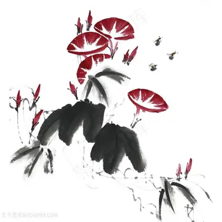 国画牵牛花图片