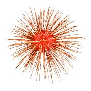 烟花 PNG免抠(300x300)